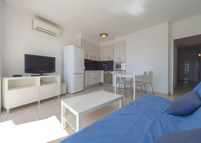 Inmosantos Oasis D4